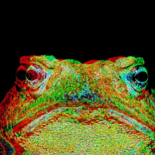 it's getting pretty cold out there