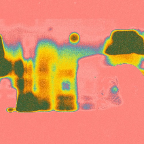 Kamyar Ring - Acid Gate [sampatic]