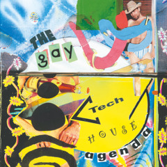 the gay tech house agenda