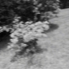 I See What You've Done To Me