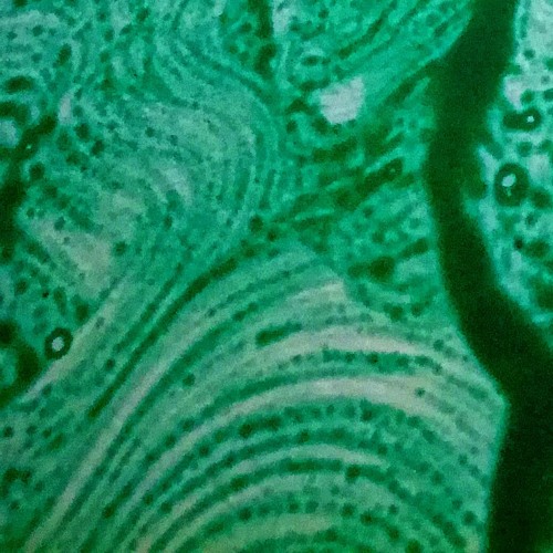 Musst du selber wissen