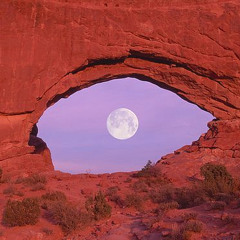 geberebilirim - mert demir & seda erciyes (cover)