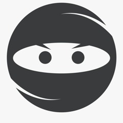 The Way Of The Ninja