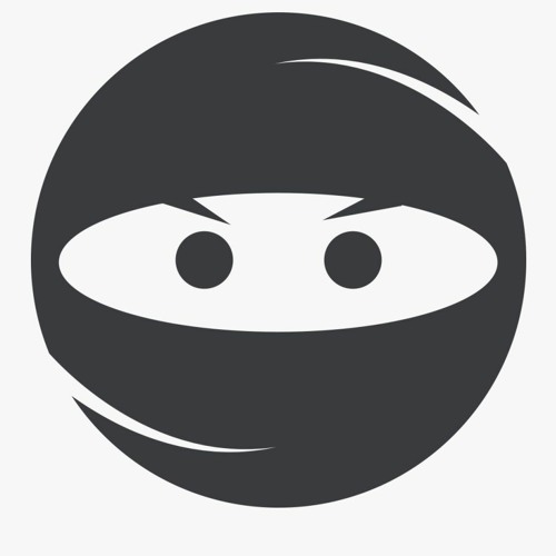 The Way Of The Ninja