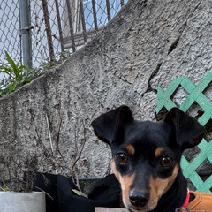 January 3, 2026 - 1 Day Left Off Still - 1_3_26, 3.44 AM