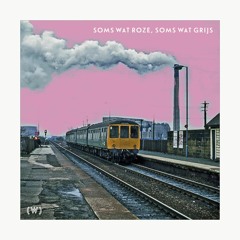 Soms Wat Roze, Soms Wat Grijs