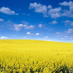 Sandro @ Promo April