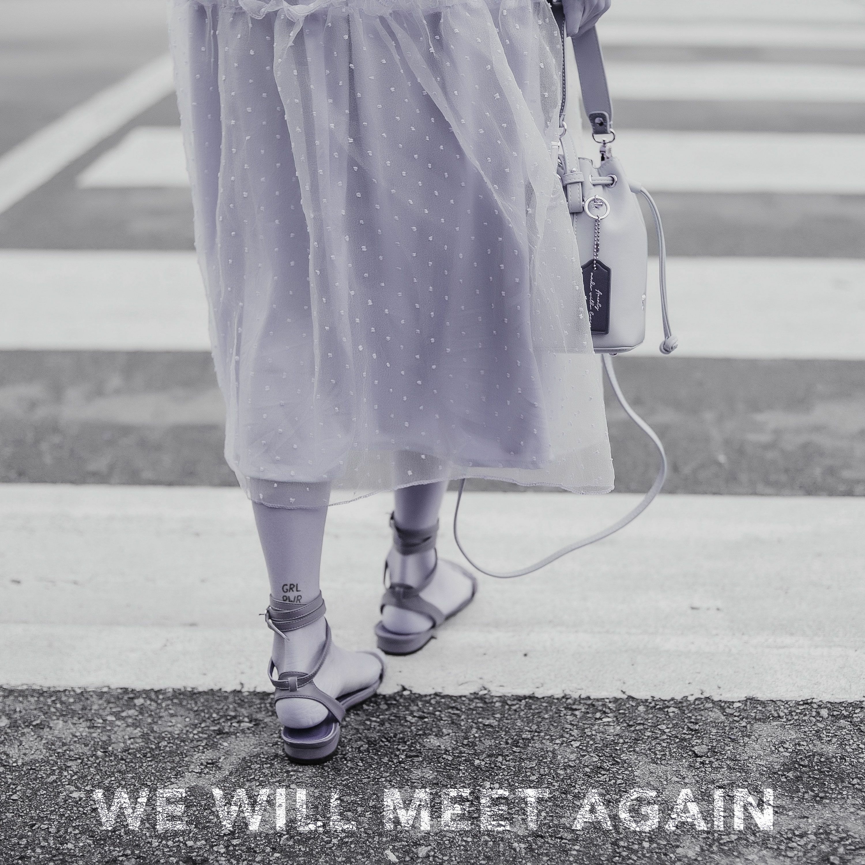 We Will Meet Again episode artwork