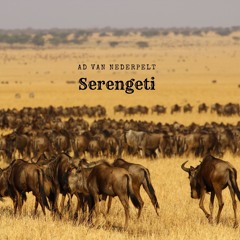 Serengeti (composer/arrangeur/performer) Ad van Nederpelt)