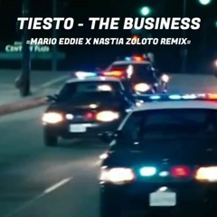 Tiësto - The Business ( Mario Eddie X Nastia Zoloto Extended Remix )