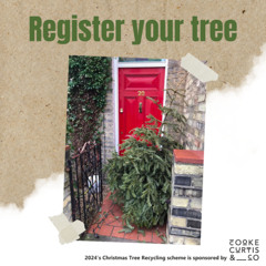 Christmas Trees Radio Cambridgeshire Lana 27 December 2024