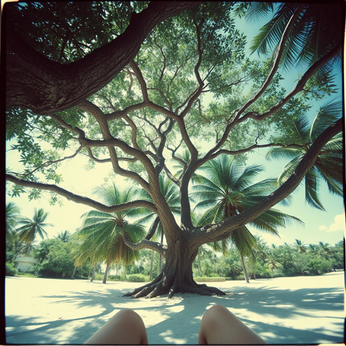 Shaded