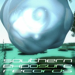 Virtual Utopia 08: Southern Exposure Records