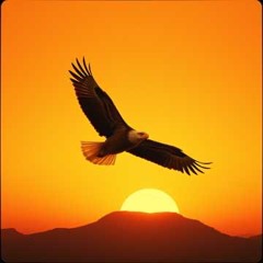Open Sky Ahead