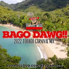 BAGO DAWG!! (2022 TOBAGO CARNIVAL)