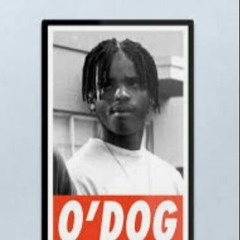 O-DOG
