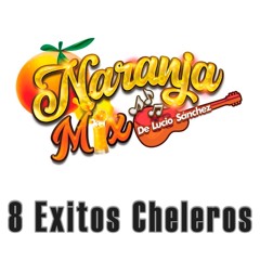 Cuando un Amor Se Va