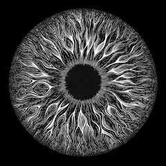 brain fog ~ kenzwuen