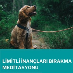 Limitli İnançları Bırakma Meditasyonu