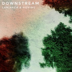 Downstream (with Laniakea)