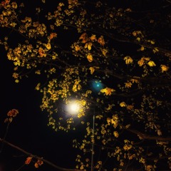 The Eclipse