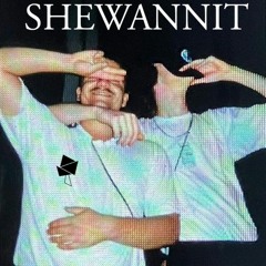 DJ Freewaycola ft. Mauzenberger - Shewannit (Technology Brett Version)