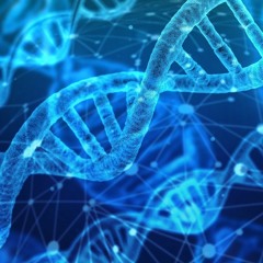 Sehiba - Mutated DNA (190)
