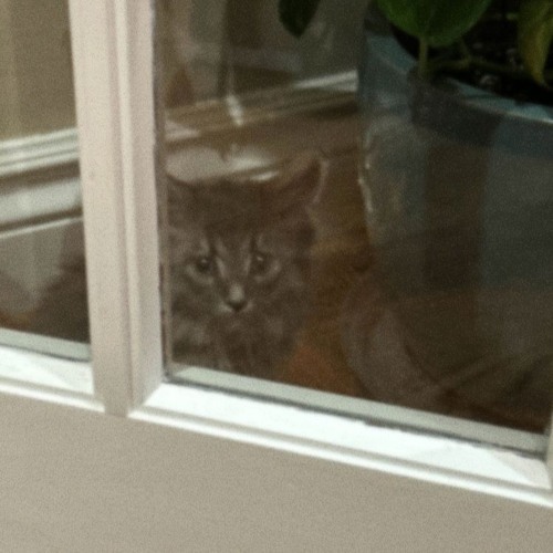 run a way (prod neverforever)