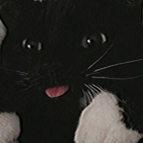 CATCHIN' NO CASE (PROD. AUREMIC)