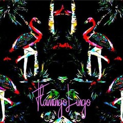 021020 | Flamingo Lingo | PJ Curly