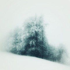 Elusin - Snow Bunni Ft. TO$HIRO