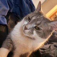 galick gun, therapy music