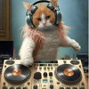 sychoviko gathering 200 -180 bpm DJ mix artwork - Electronic music tracklist cover image