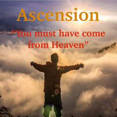 You must have come from heaven