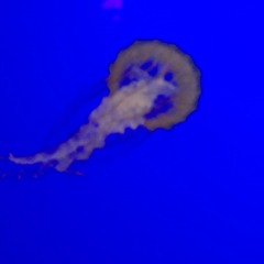 Funky Biblical Demon Happenings