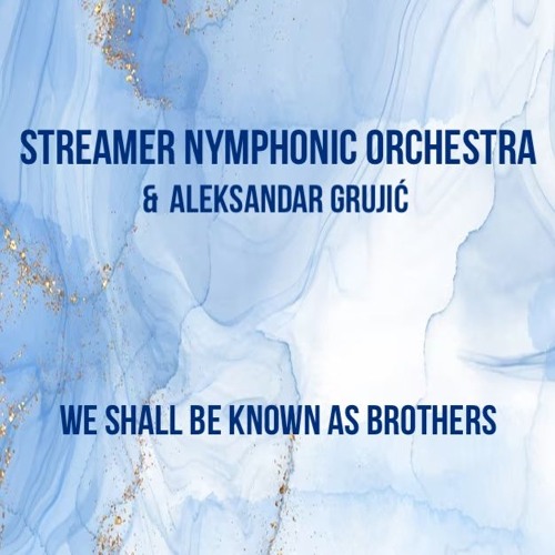 Streamer Nymphonic Orchestra & Aleksandar Grujić     - 🤜 We Shall Be Known As Brothers.🤛