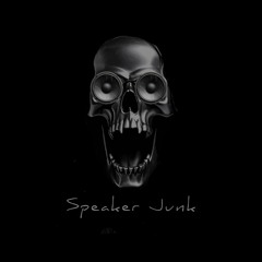 Speaker Junk