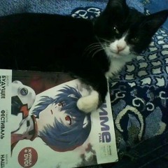 Fukit - шайни (speed up)