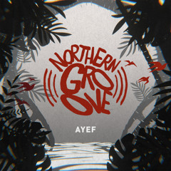 Northern Groove • 26MAR2021