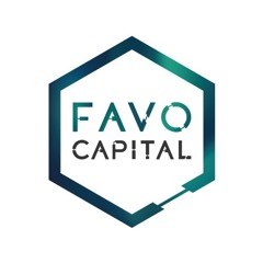 FAVO Capital: Redefining Excellence in Merchant Cash Advance Funding