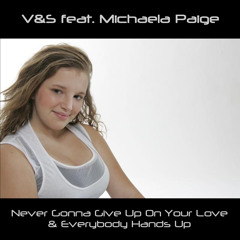Never Gonna Give Up On Your Love (Instrumental) [feat. Michaela Paige]