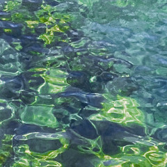 DN:MRMN Pres. Liquid State Vol 1.