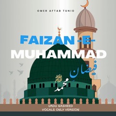 Faizan e Muhammad