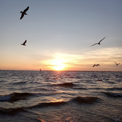 Tarah V-Burn Like Ocean (progressive mix)