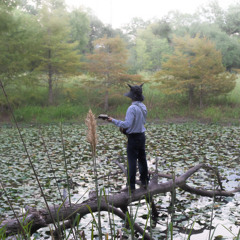 Francisco Flwrs- Let Go