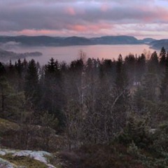 norwegian wood