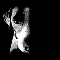 My Little Dog Ciro_Roby Loco [OUT NOW]