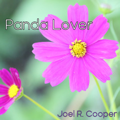 Panda Lover