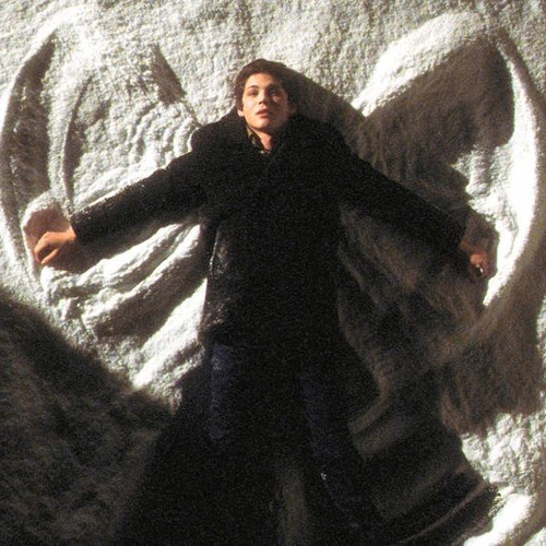 we accept the love we think we deserve ۫  the perks of being a wallflower ۫  cocteau twins