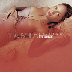 Tamia - Officially Missing You (Ekception Edit)